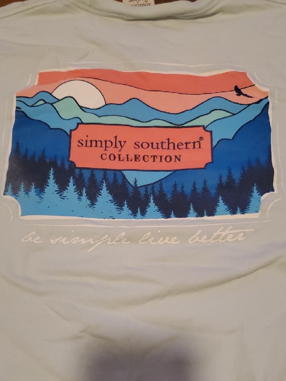 Simply Southern Women's Short-Sleeve Tee in Pale Mint - Picture 3 of 3